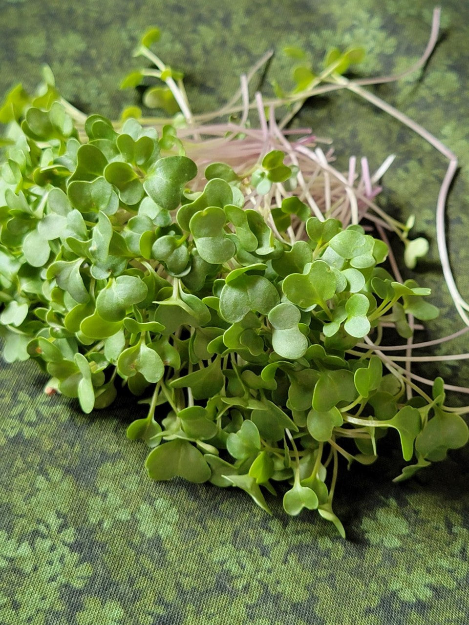 Broccoli, 2oz